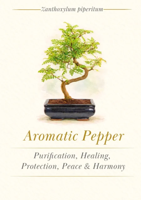 Bonsai Tree Meaning Card - Aromatic Pepper