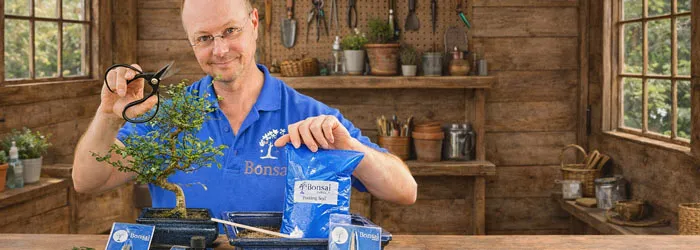 Bonsai Starter Kits | Step-by-Step Guides