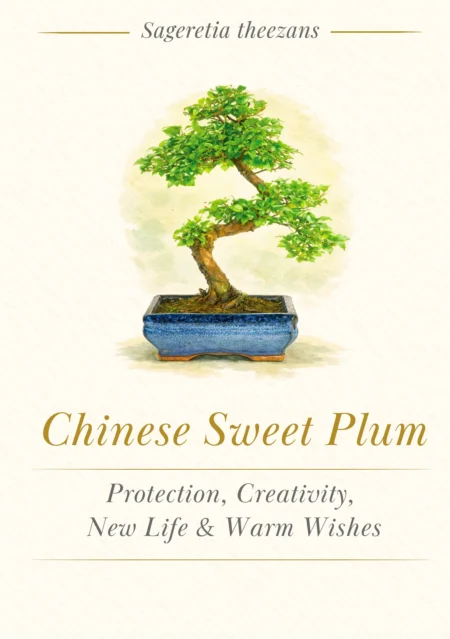 Bonsai Tree Meaning Card - Chinese Sweet Plum