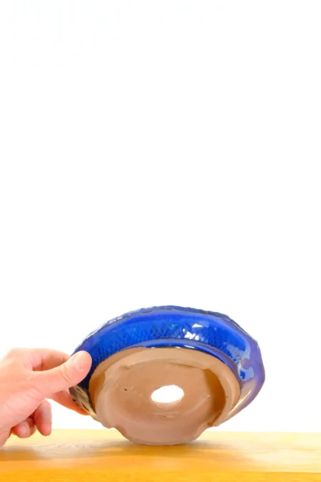 Beautiful shallow bonsai planting pot