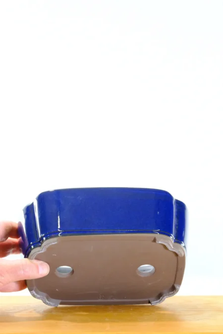 Lotus inspired top quality Japanese blue bonsai pot for sale