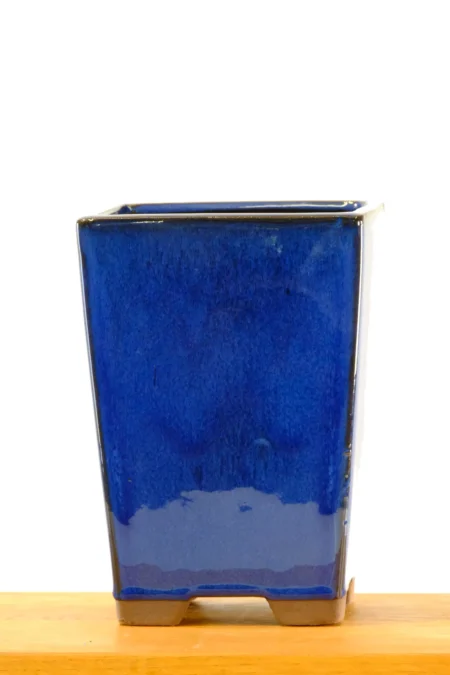 Royal Blue cascade Bonsai pot for sale