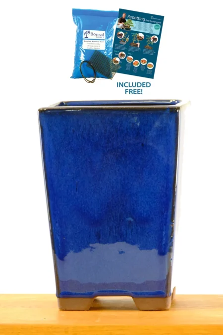 Square Bonsai Cascade Pot – 13.5 x 13.5 x 18cm | Royal Blue, Natural Cream or Sparkly Bronze