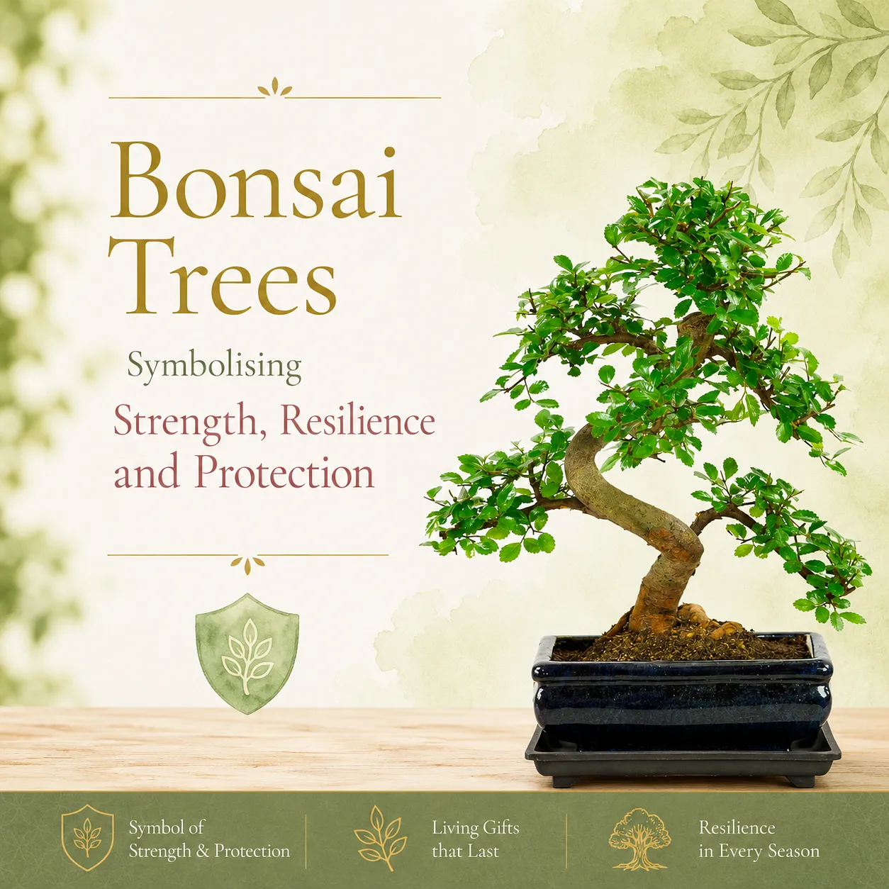 Bonsai Trees Meaning – Strength, Resilience and Protection