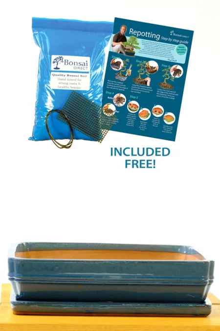 37cm XXL (14 inch) Rectangular Glazed Muted Blue Ceramic Bonsai Pot with Matching Tray