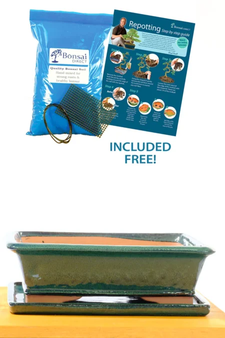 37cm XXL (14 inch) Rectangular Glazed Forest Green Ceramic Bonsai Pot with Matching Tray