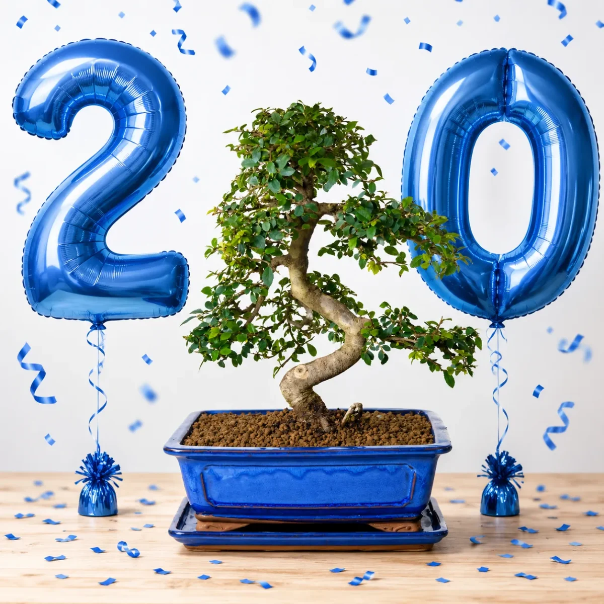 Bonsai Direct Anniversary