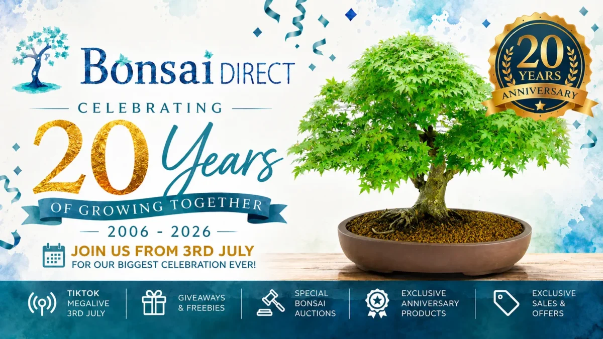 20th Anniversary Banner