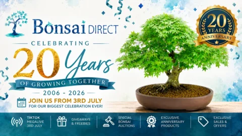 20th Anniversary Banner