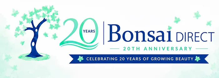 Bonsai Direct 20th Anniversary Event