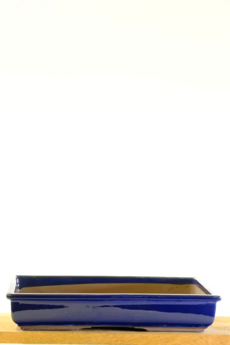Shallow royal blue bonsai pot