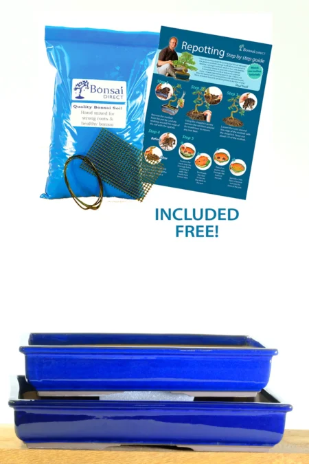 Japanese high quality rectangular blue bonsai pot in two sizes