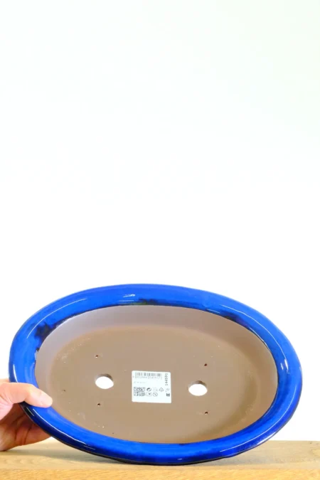 Bright royal blue glaze adds a pop of colour