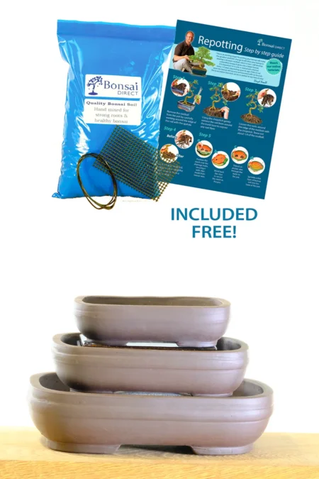 Rectangular Ceramic Unglazed Bonsai Pot with Rounded Corners | Available in 3 Sizes