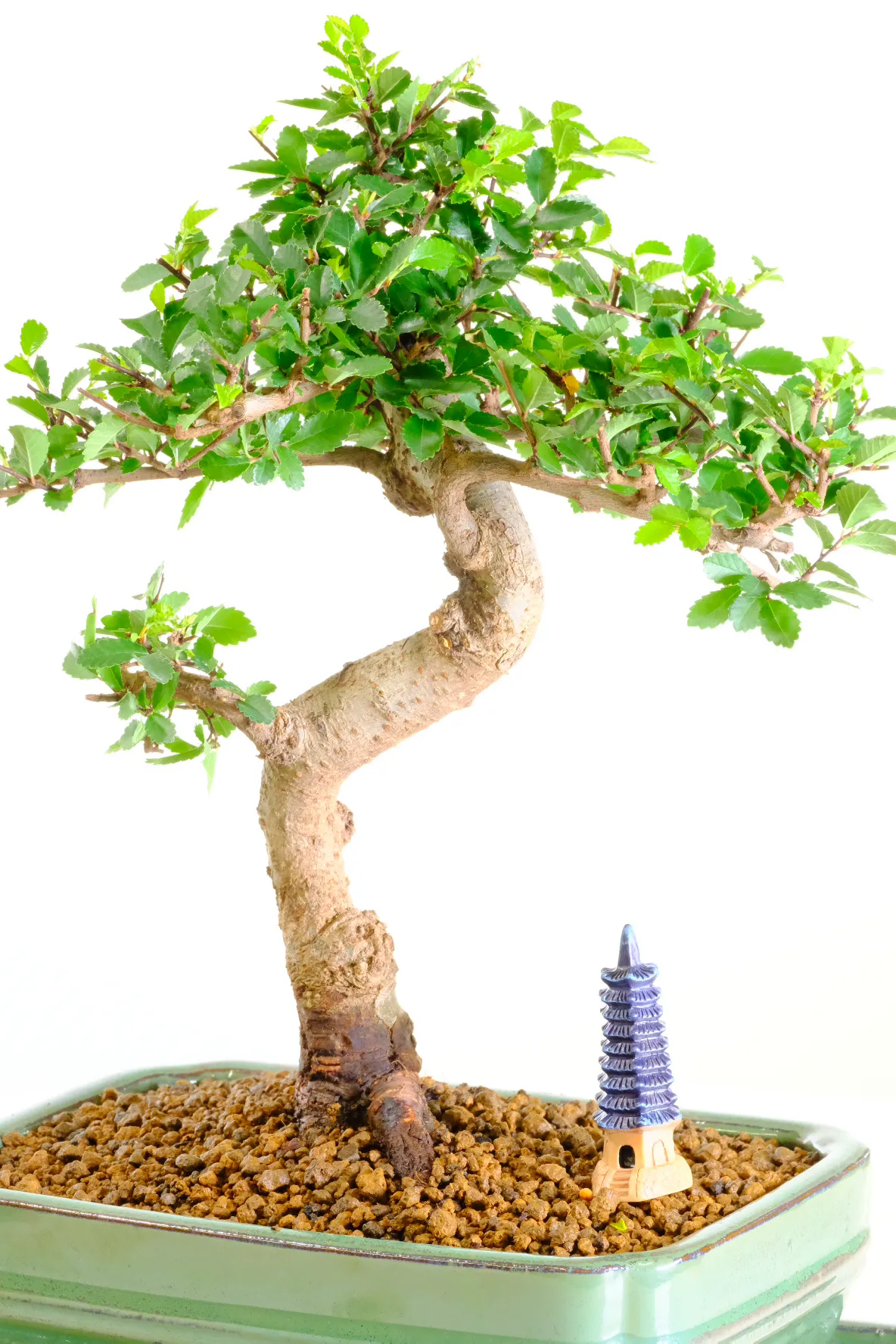 Little Ornamental Temple included