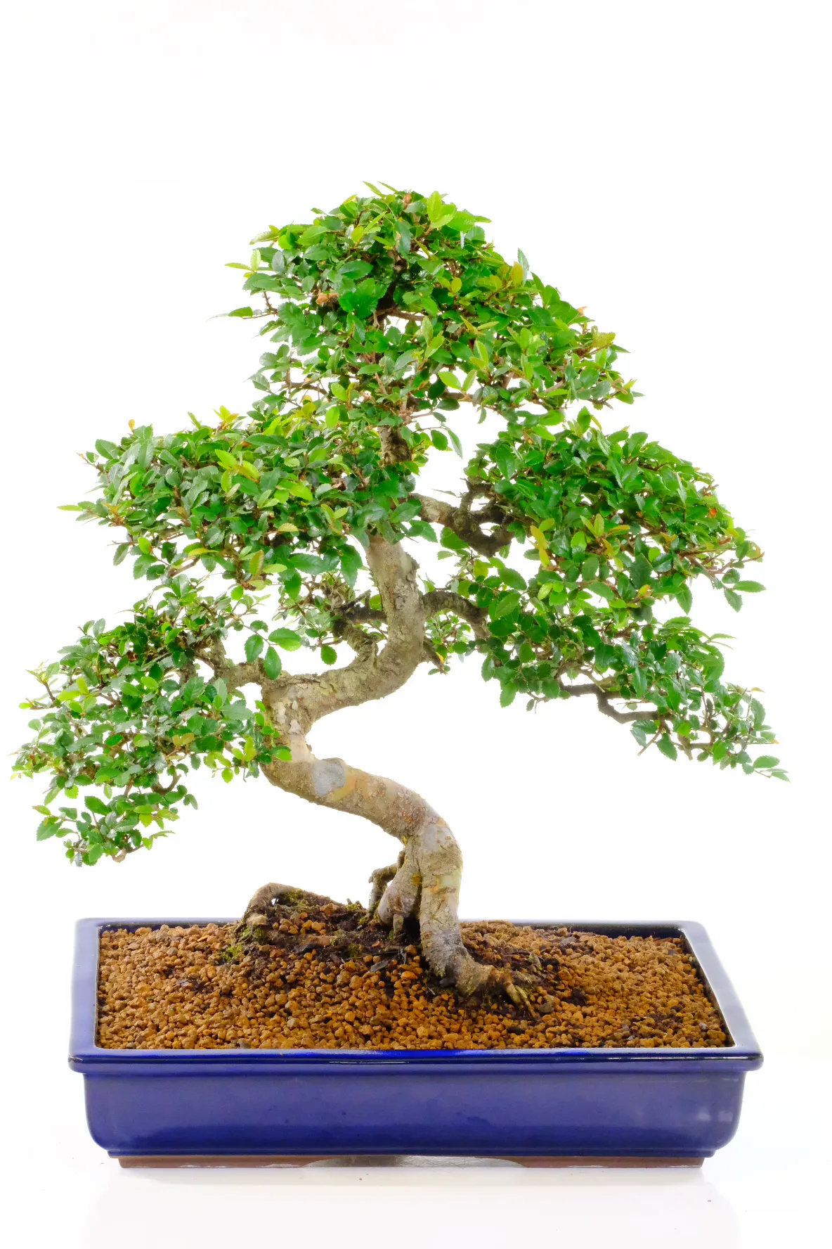 hanging plant rod Hanging Tray for Plants – Seedor main image 1