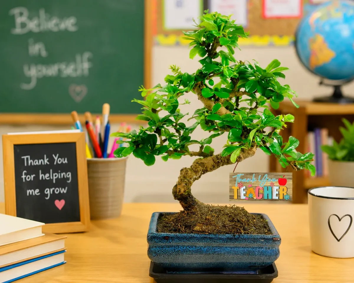 Thank You Teacher Gift