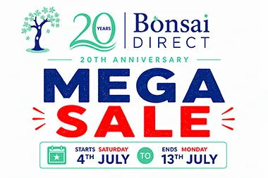 Bonsai Direct 20th Anniversary Mega Sale