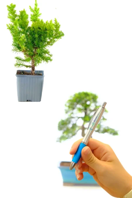 Free Juniper & Pen