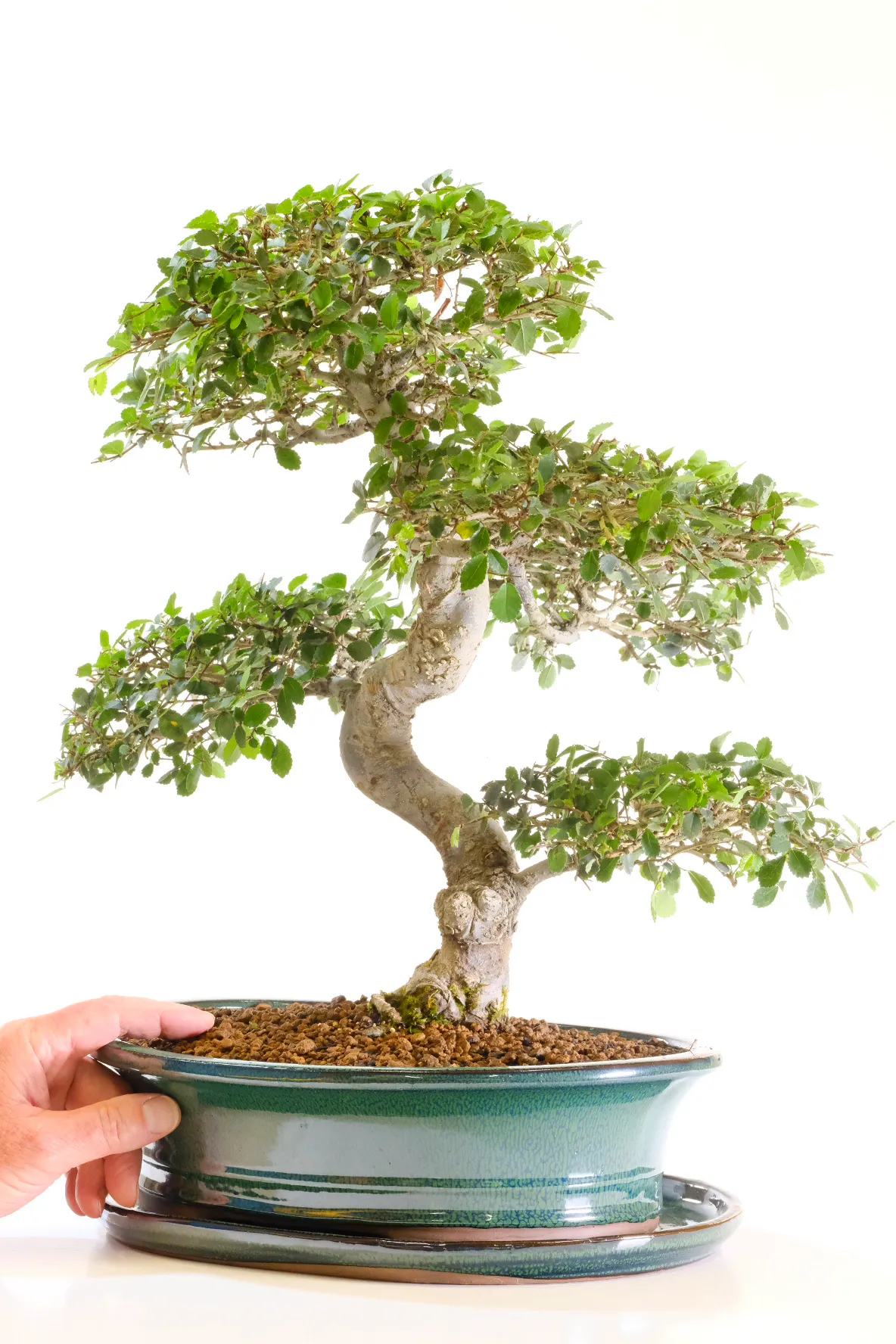 Incredible trunk with character and amazing features