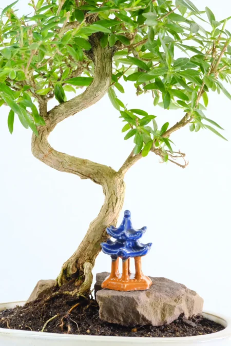 Little ornamental temple and rocks included