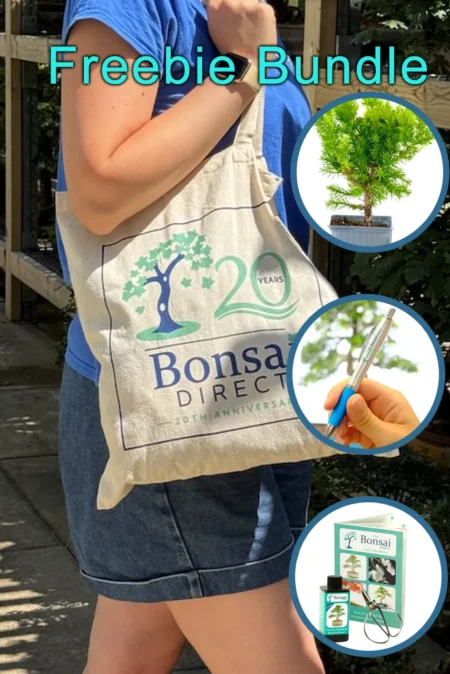 Tote & Juniper & Care Kit bundle