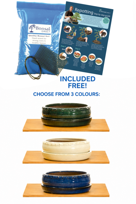 21cm (8-Inch) Round Glazed Bonsai Drum Pot & Matching Tray | 3 Colour Options