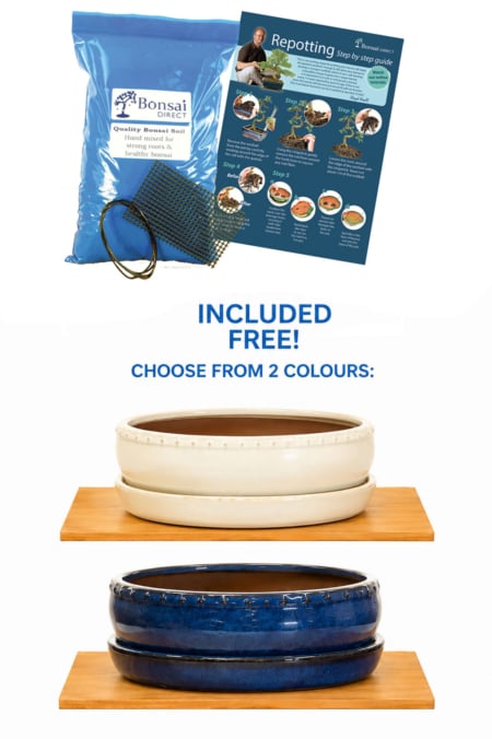 26cm (10-Inch) Circular Glazed Bonsai Drum Pot & Matching Tray | Cream & Blue