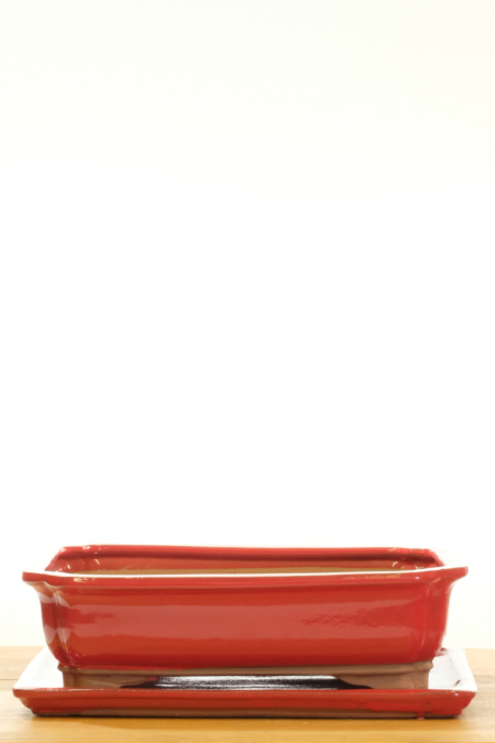 31cm (12.5-Inch) Gloss Red Rectangular Bonsai Pot & Matching Drip Tray