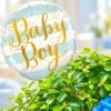 Bonsai tree gifts for New Parents
