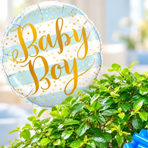 Bonsai tree gifts for New Parents