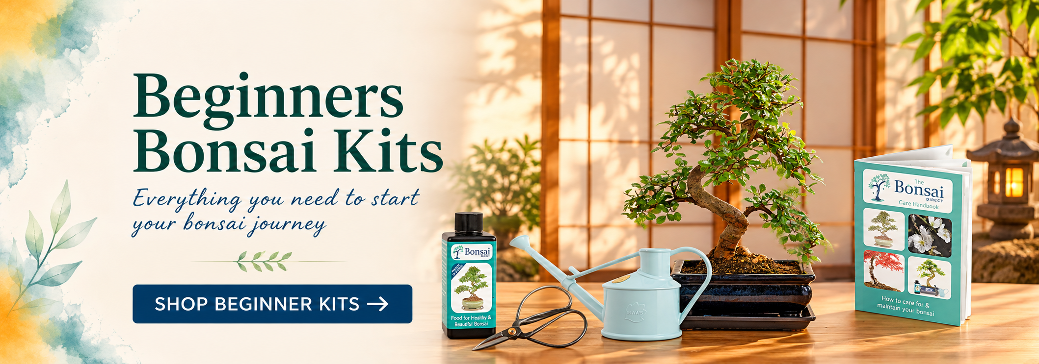 Stylish easy care beginners indoor bonsai tree kits for sale