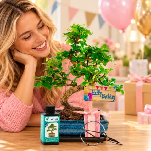 Bonsai Tree Birthday gifts for women
