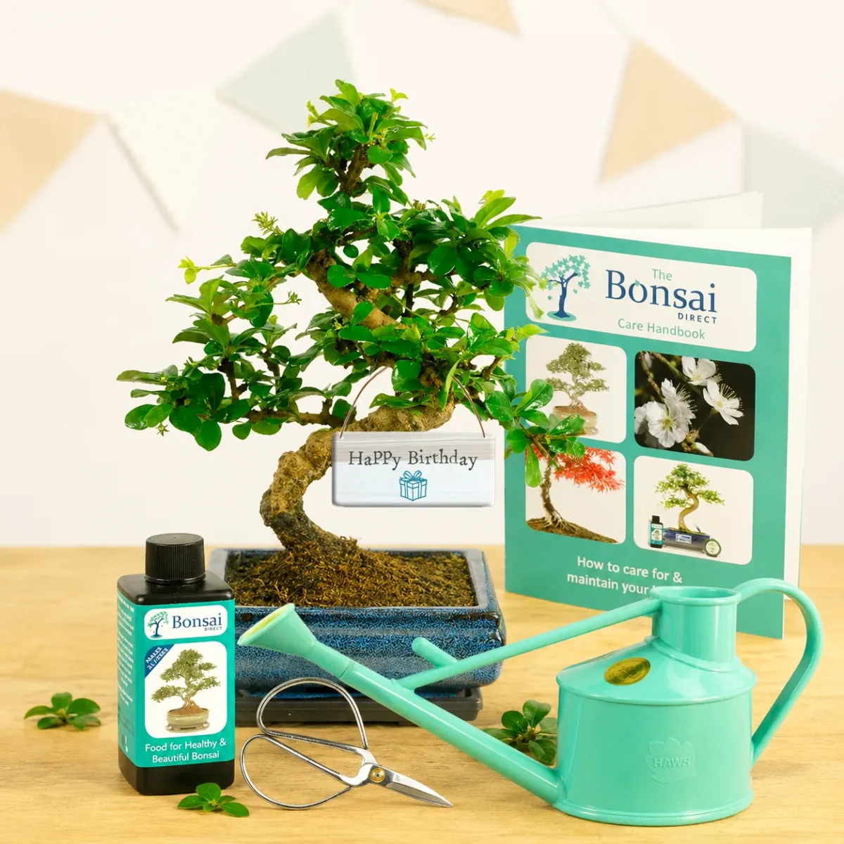The perfect unique & unusual eco-friendly birthday bonsai tree gifts