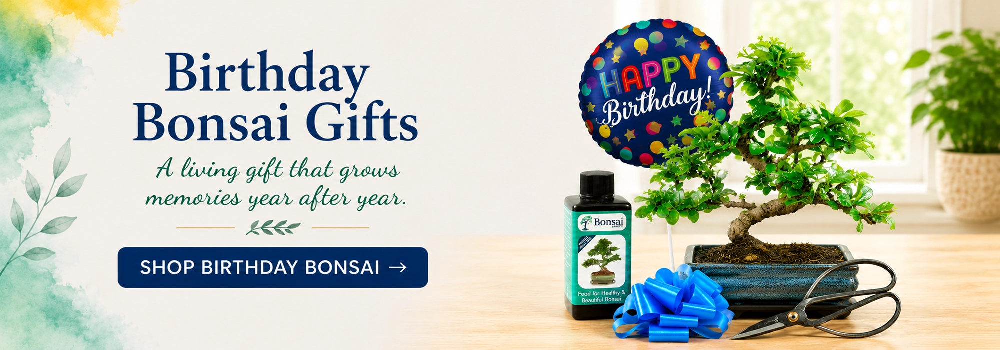 Birthday Bonsai Gifts for sale delivered on the date you choose