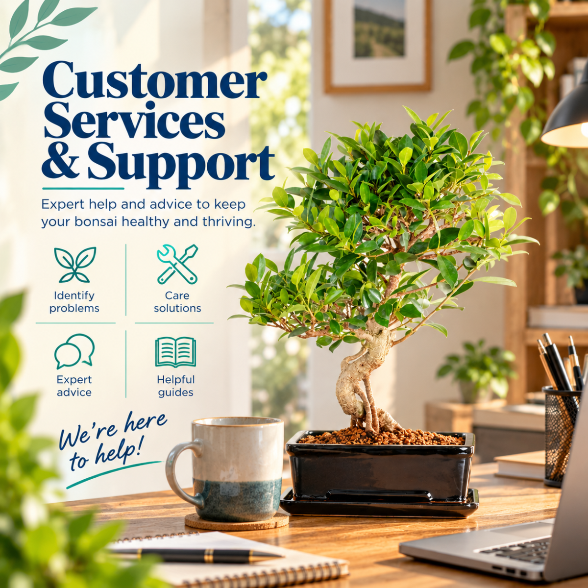 Bonsai Direct Support