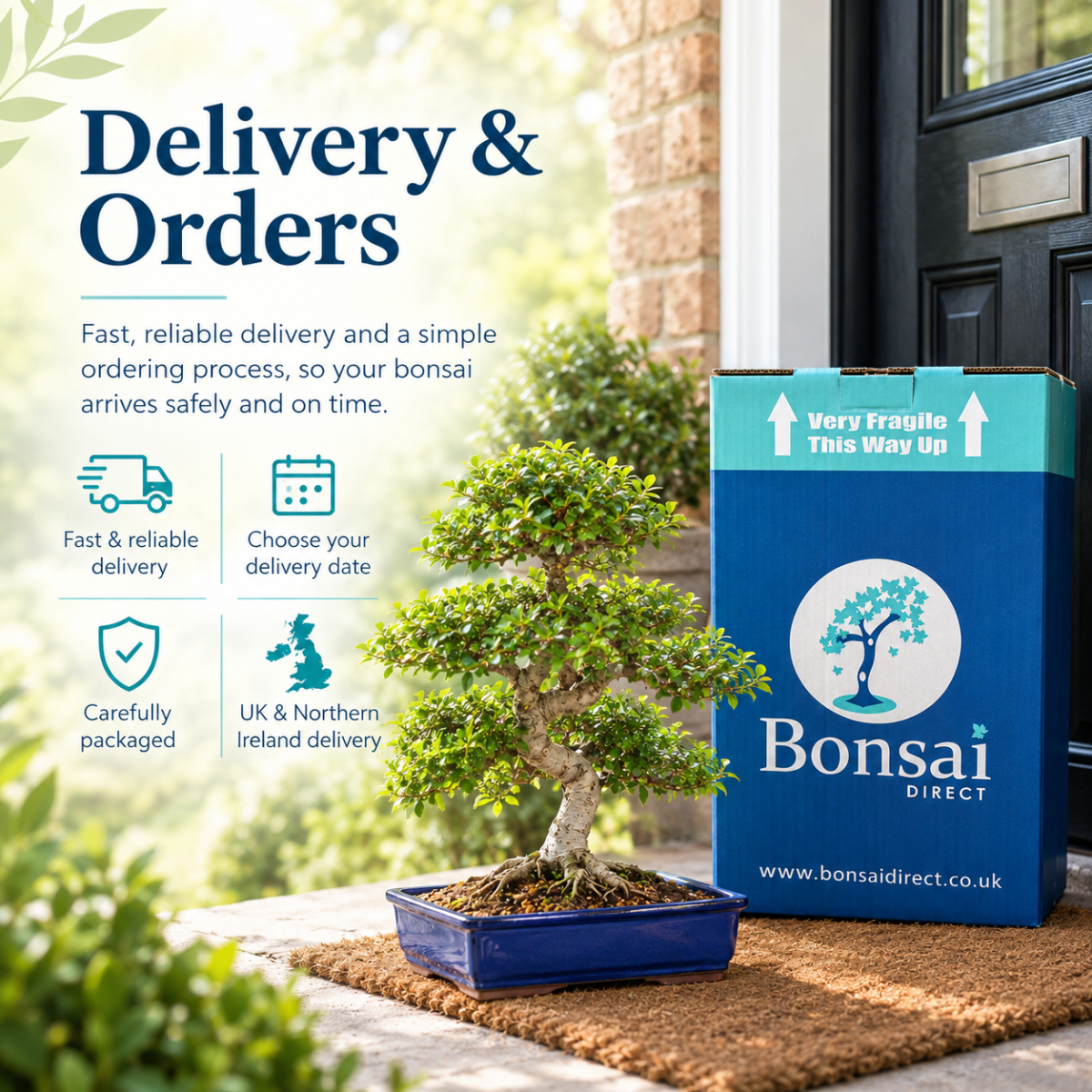 Bonsai Direct Delivery and Orders