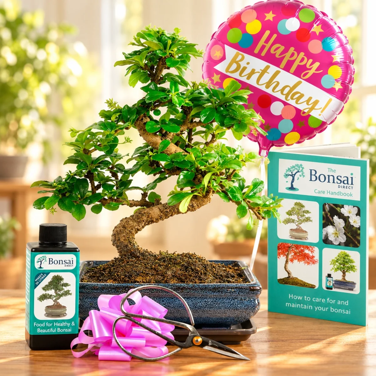 Eco friendly unique bonsai tree gifts for every occasion