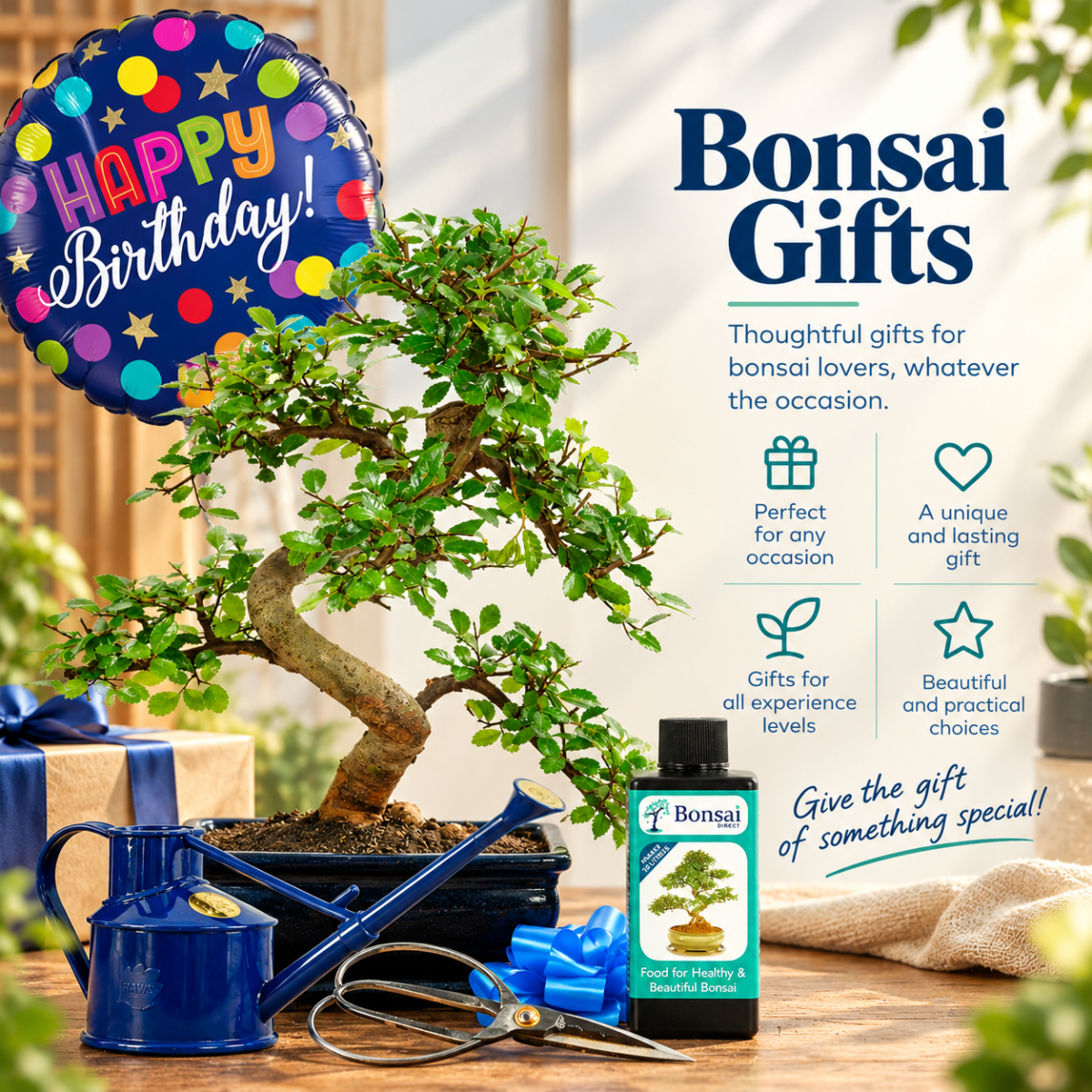 Bonsai Gifts for every occasion
