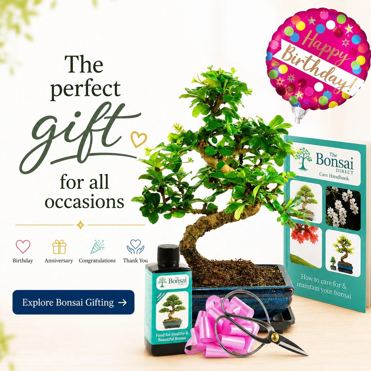 Bonsai Tree Gifts for sale. The perfect unique & eco friendly gifts for all occasions