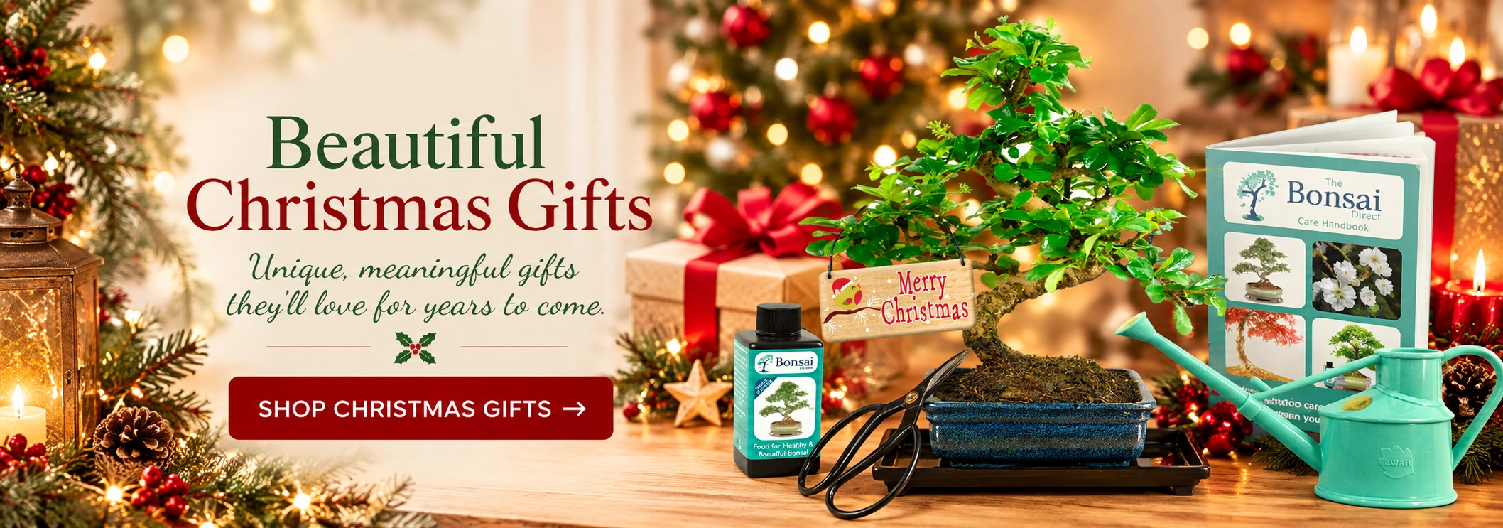 Christmas Bonsai Tree Gifts guaranteed to delight and surprise