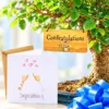 Congratulations bonsai tree gifts