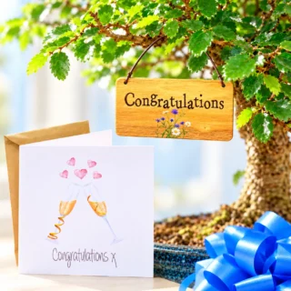 Congratulations bonsai tree gifts