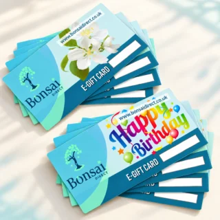 Bonsai Direct Gift Vouchers