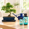 Bonsai fertiliser and mist