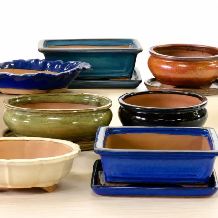 Bonsai Pots & Trays