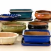 Ceramic Bonsai Pots & Trays for Sale