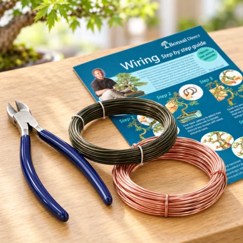 Bonsai wiring accessories